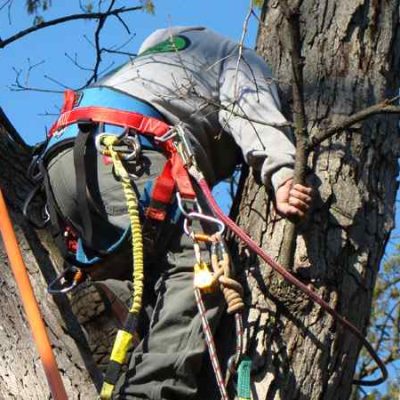 JLP Landscaping (10)