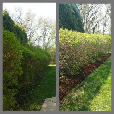JLP Landscaping (14)