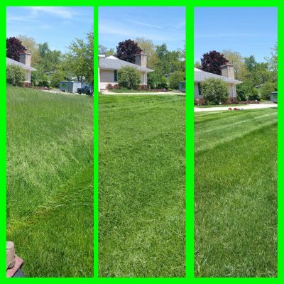 JLP Landscaping (17)