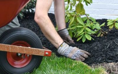 Mulch Installation